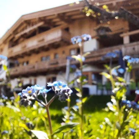 Landhaus Knaus Лойташ Экстерьер фото